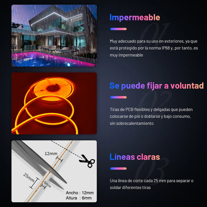 Neon Flex 12V Rollo X 5M