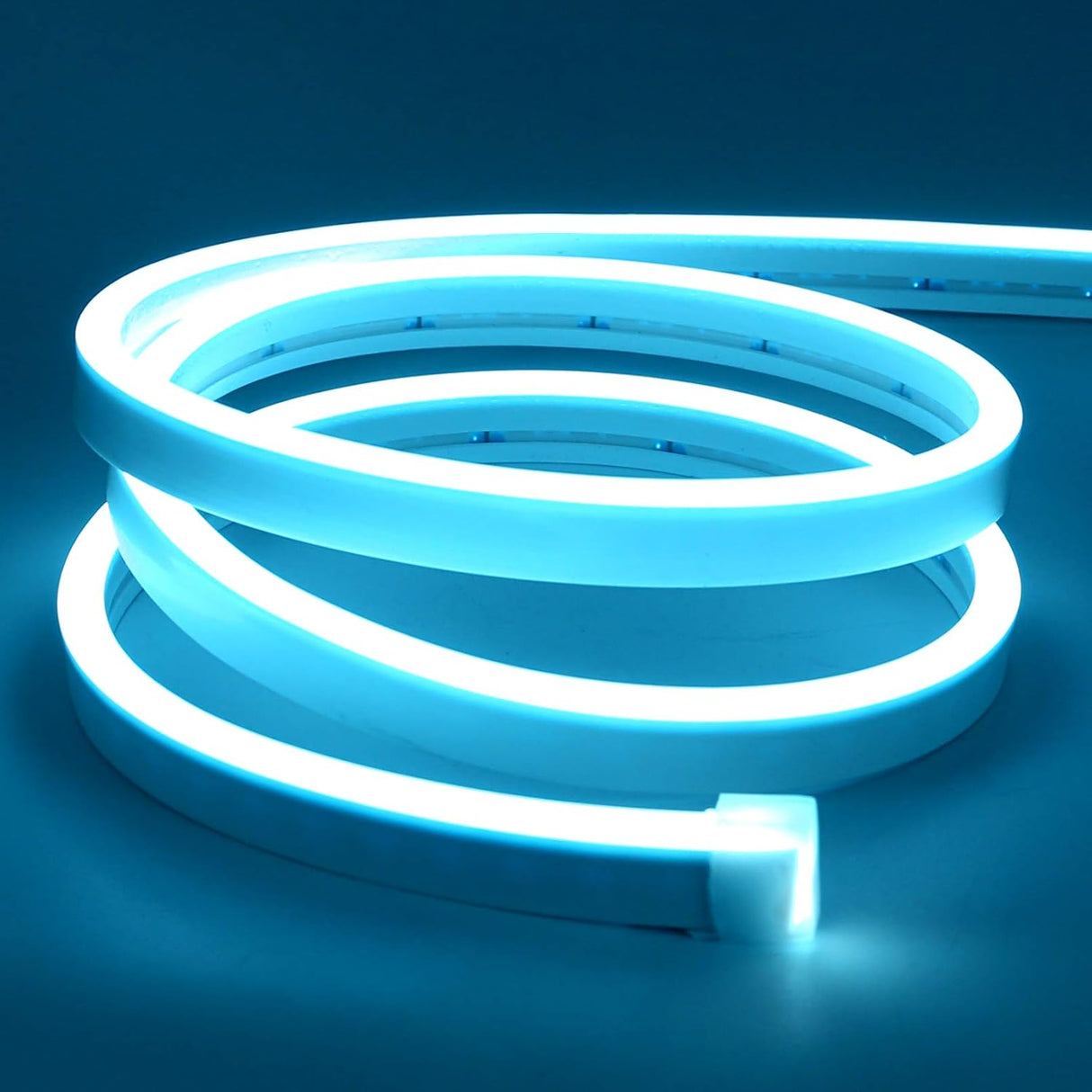 Neon Flex 12V Rollo X 5M