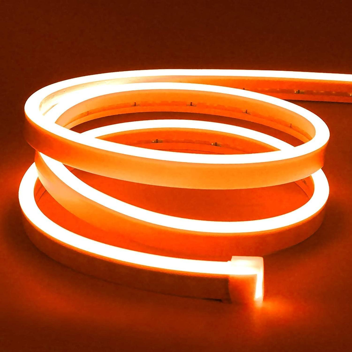 Neon Flex 12V Rollo X 5M