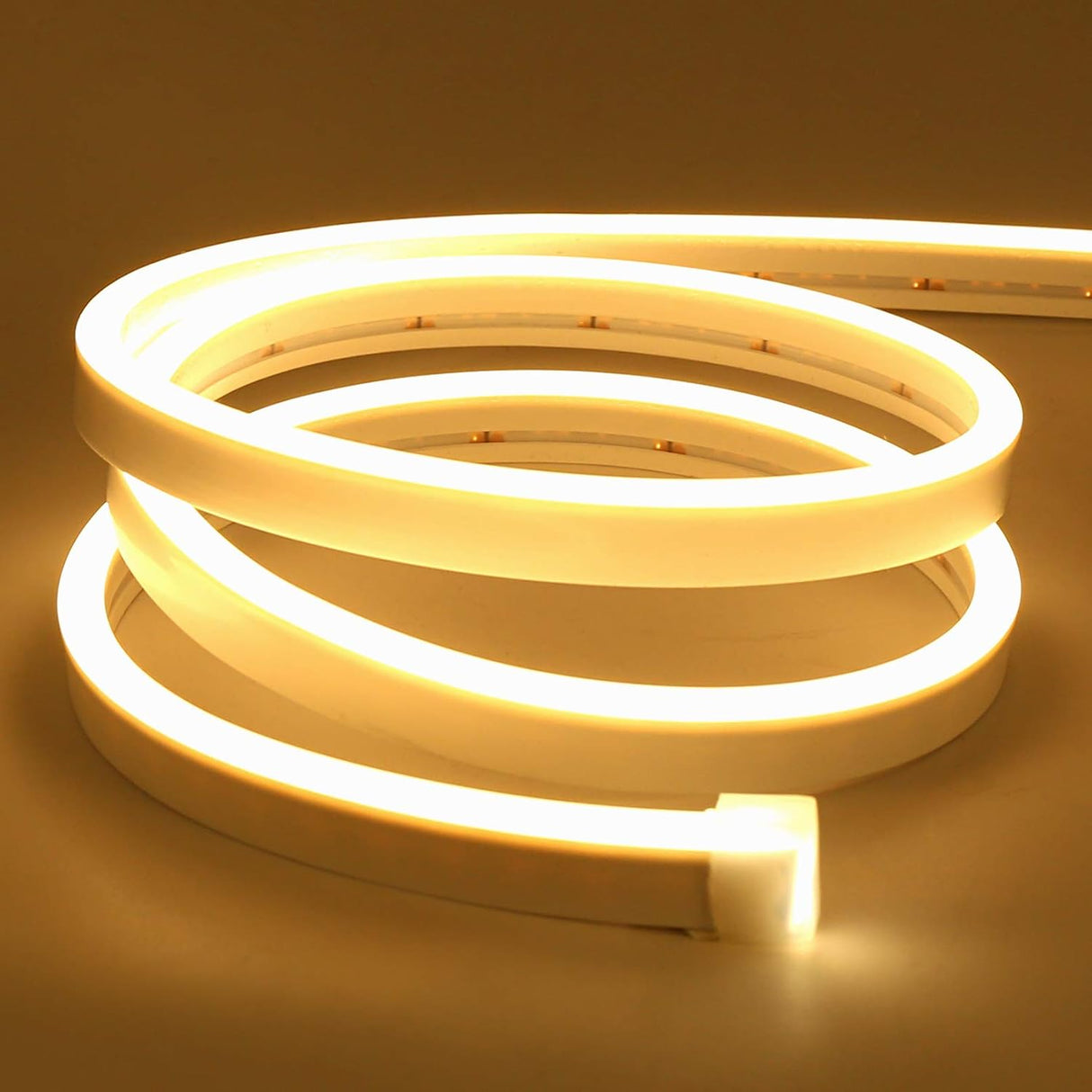 Neon Flex 12V Rollo X 5M