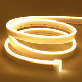 Neon Flex 12V Rollo X 5M