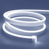 Neon Flex 12V Rollo X 5M