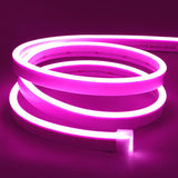 Neon Flex 12V Rollo X 5M