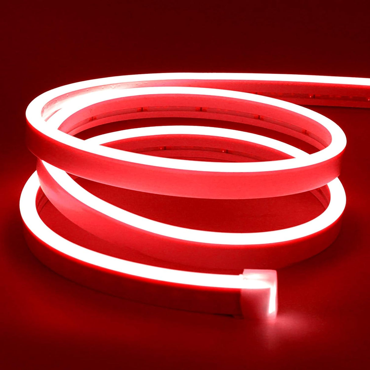 Neon Flex 12V Rollo X 5M