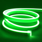 Neon Flex 12V Rollo X 5M