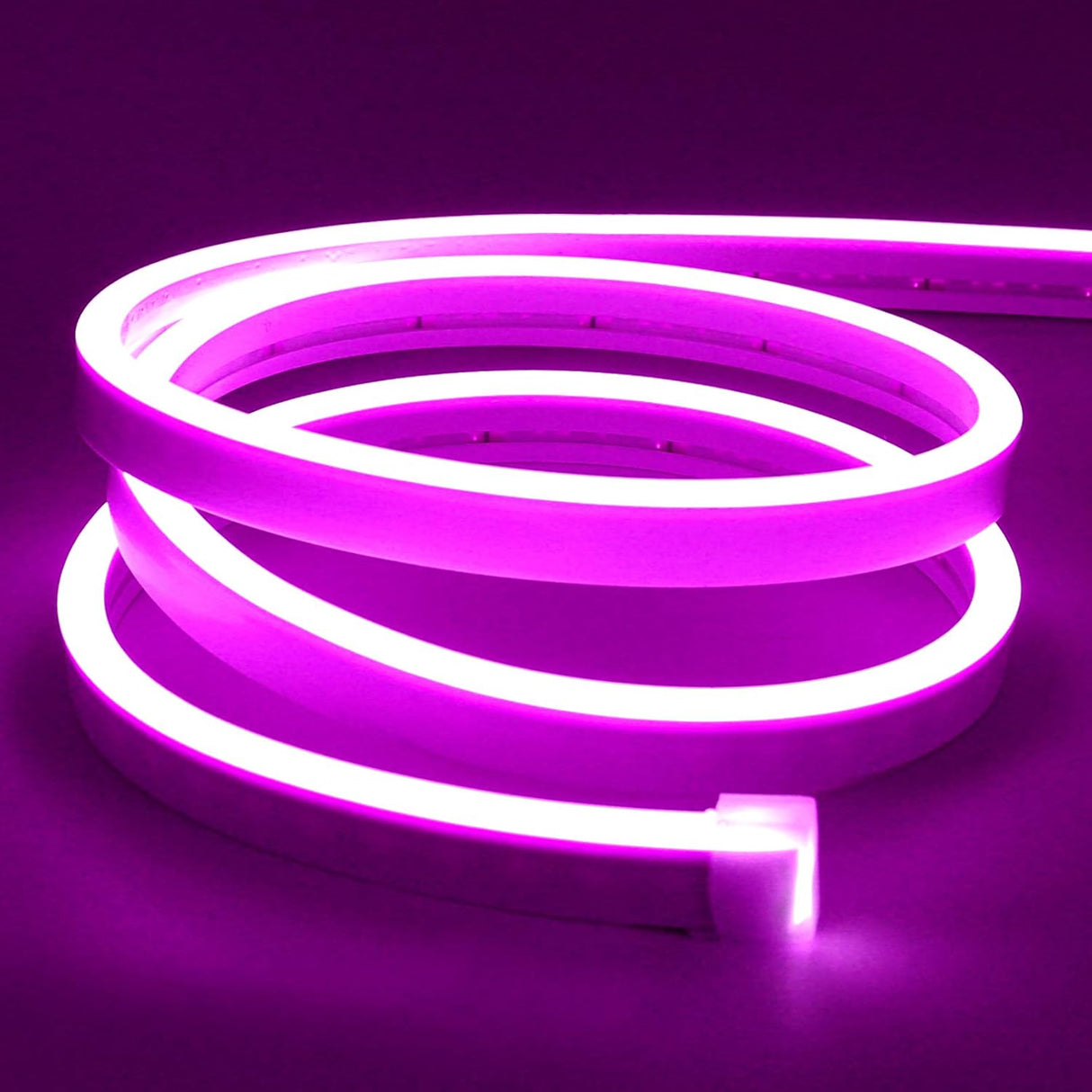 Neon Flex 12V Rollo X 5M