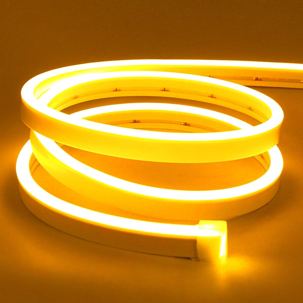 Neon Flex 12V Rollo X 5M